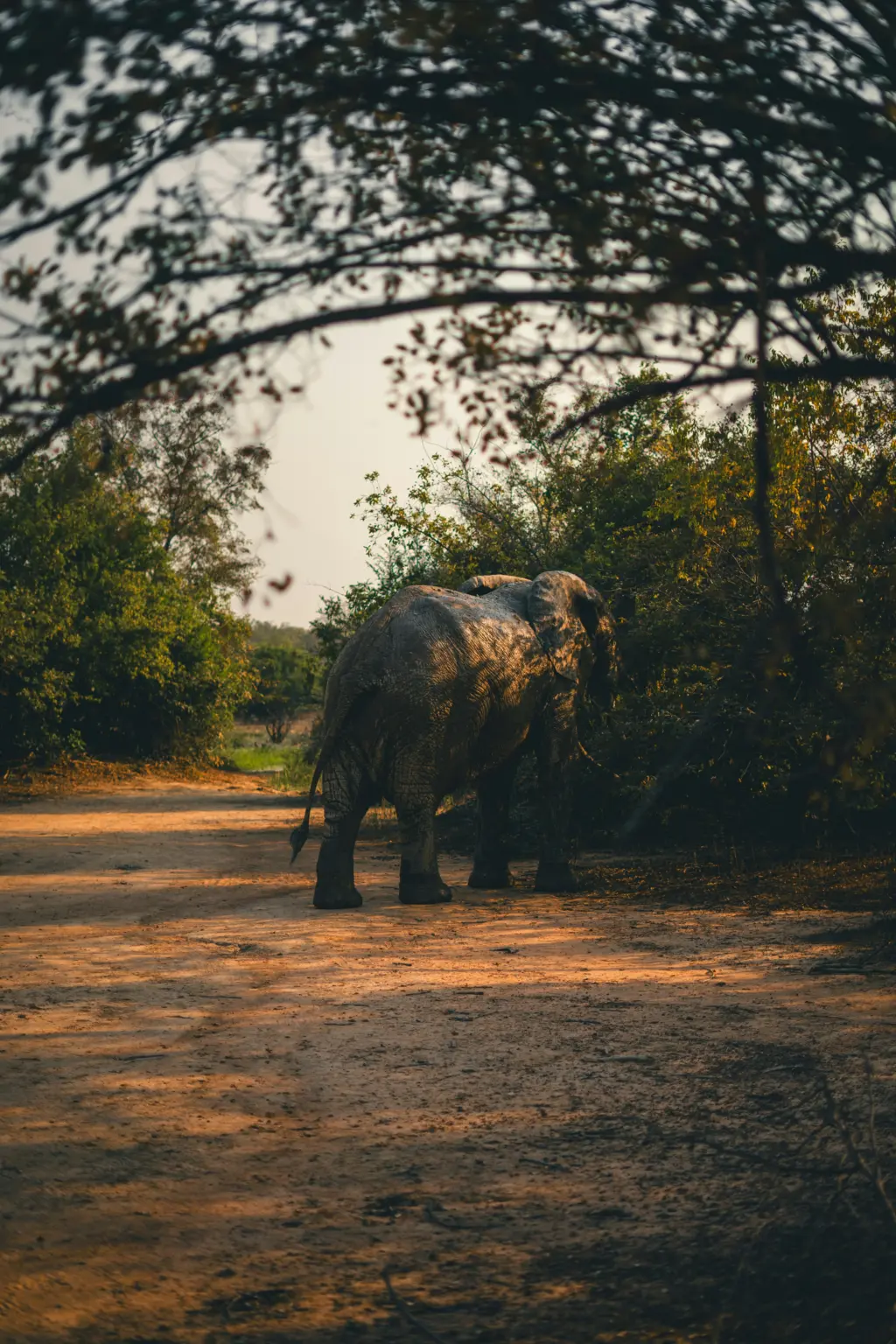 Deutsch Ghanaischer Freundschaftskreis Beispielbild julian morenz 1KbJkFbjXvs unsplash